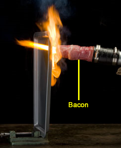 bacon-thermal-lance.png